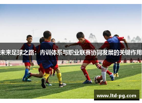 未来足球之路：青训体系与职业联赛协同发展的关键作用