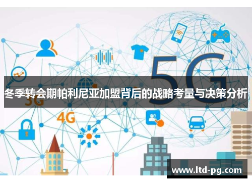 冬季转会期帕利尼亚加盟背后的战略考量与决策分析