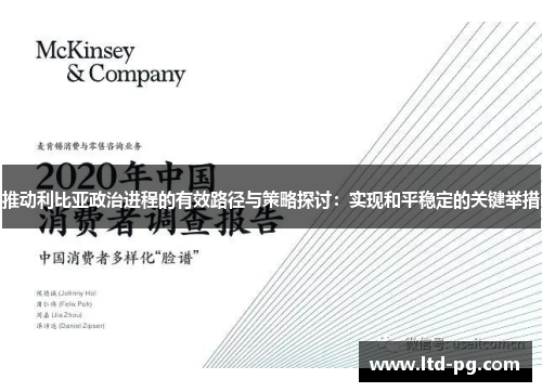 推动利比亚政治进程的有效路径与策略探讨：实现和平稳定的关键举措