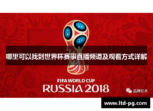哪里可以找到世界杯赛事直播频道及观看方式详解