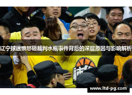 辽宁球迷愤怒砸裁判水瓶事件背后的深层原因与影响解析