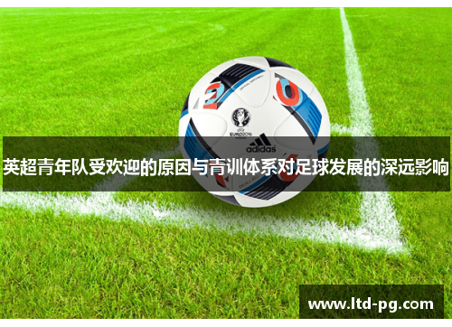 英超青年队受欢迎的原因与青训体系对足球发展的深远影响