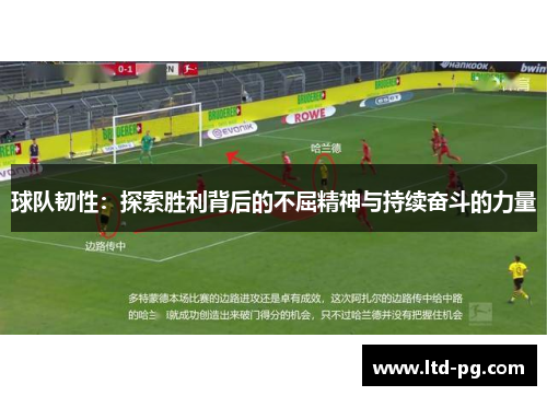 球队韧性：探索胜利背后的不屈精神与持续奋斗的力量