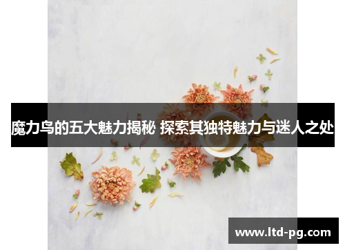 魔力鸟的五大魅力揭秘 探索其独特魅力与迷人之处 魔力鸟的五大魅力揭秘 探索其独特魅力与迷人之处