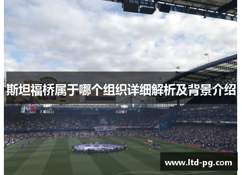 斯坦福桥属于哪个组织详细解析及背景介绍