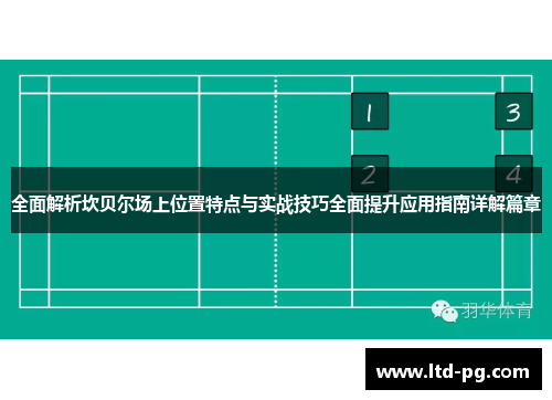 全面解析坎贝尔场上位置特点与实战技巧全面提升应用指南详解篇章