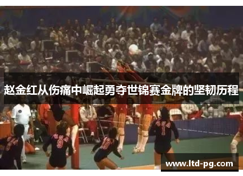 赵金红从伤痛中崛起勇夺世锦赛金牌的坚韧历程